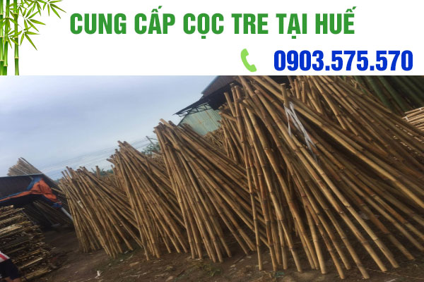 chuyên cọc tre uy tín tại Huế